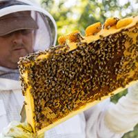 Backyard Beekeeper Class